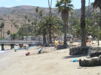 opt 009.jpg